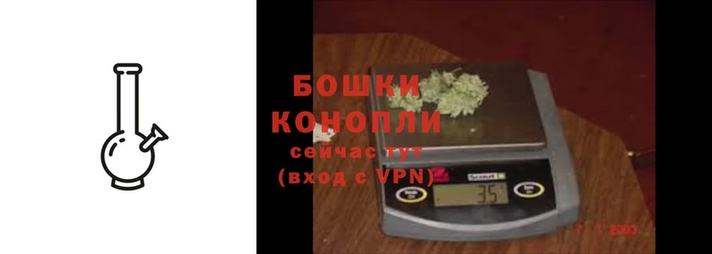 каннабис Белокуриха