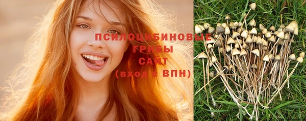 стафф Белоозёрский