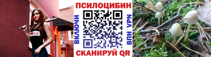 Псилоцибиновые грибы Magic Shrooms  shop формула  Озёрск 